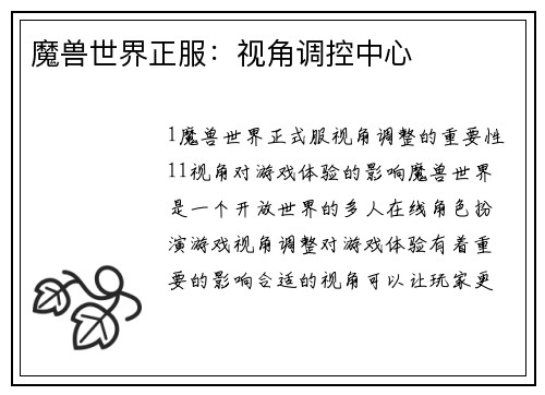 魔兽世界正服：视角调控中心